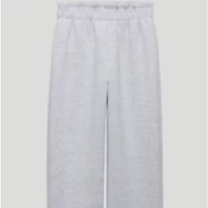 Aritzia Babaton Powell Pant